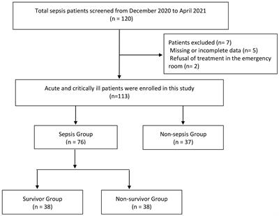 The diagnostic and prognostic value of soluble ST2 in Sepsis